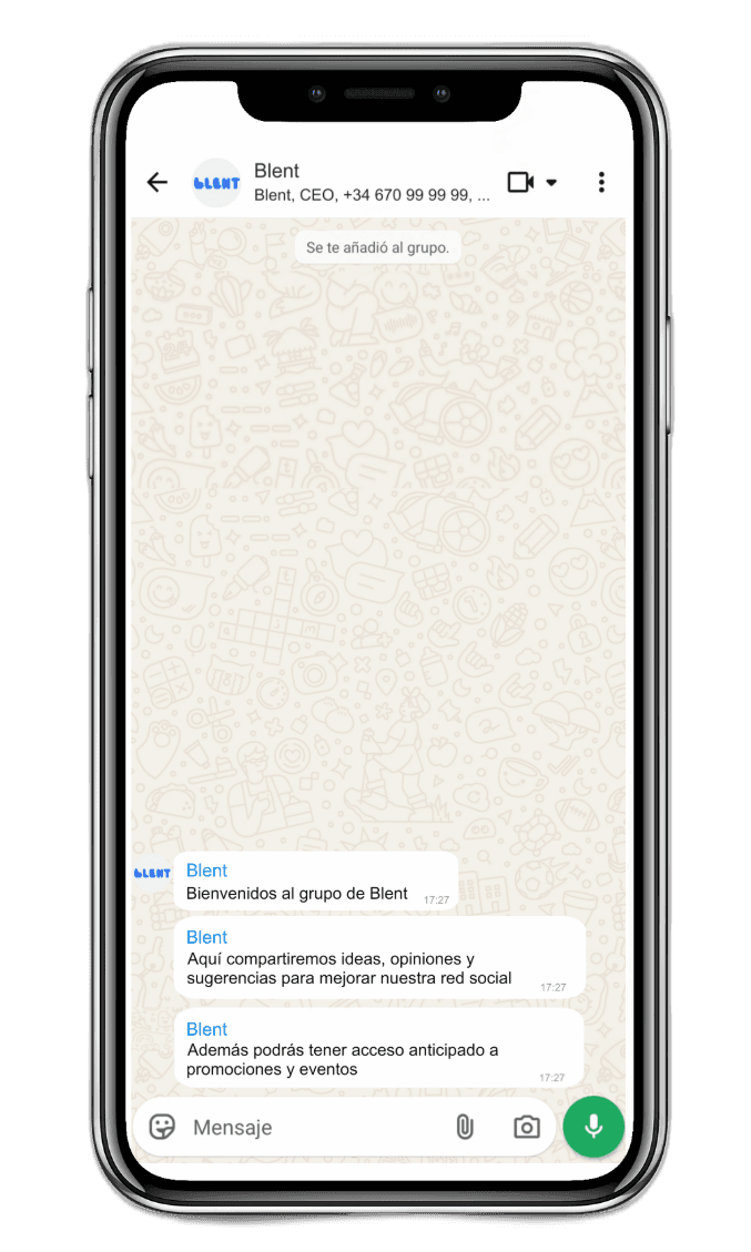 Grupo WhatsApp fundadores